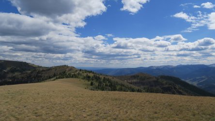 IMG_1954.JPG