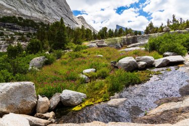 Winds-Deep 8-2025-09232.jpg