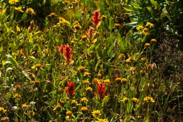 Winds-Deep 8-2025-08592.jpg