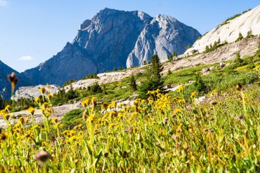 Winds-Deep 8-2025-08843.jpg