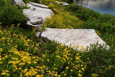 Winds-Deep 8-2025-08625.jpg