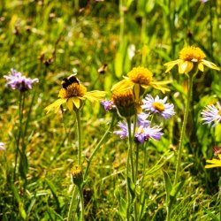 Winds-Deep 8-2025-08900.jpg