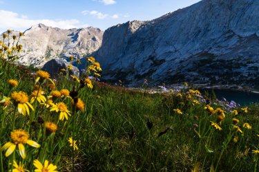 Winds-Deep 8-2025-08905.jpg