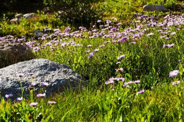 Winds-Deep 8-2025-09106.jpg