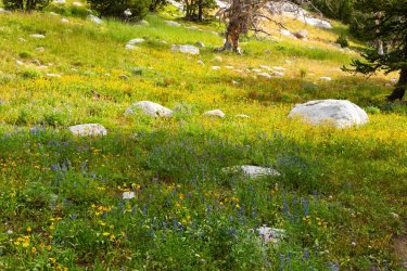 Winds-Deep 8-2025-08525.jpg