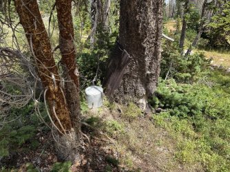 2025-08-23 13.04.56.jpg