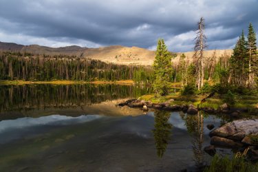 Naturalist 8-2025-09257.jpg