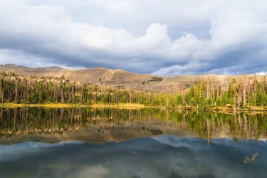 Naturalist 8-2025-09266.jpg