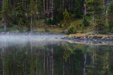 Naturalist 8-2025-09332.jpg