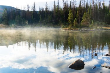 Naturalist 8-2025-09389.jpg