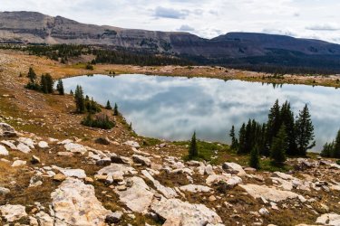 Naturalist 8-2025-09478.jpg