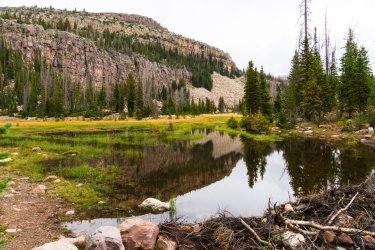 Naturalist 8-2025-09243.jpg