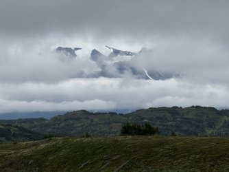 IMG_3195.jpeg