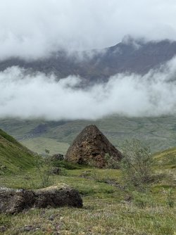 IMG_3762.jpeg