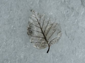 IMG_4882.jpeg