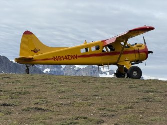 7B08B5AF-F62C-491E-A303-61879D7E6860_1_105_c.jpeg