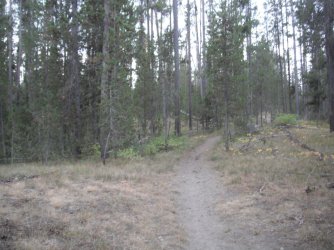 96 Final trail.JPG