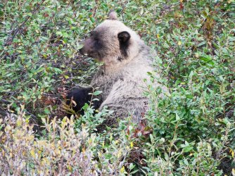 P1330762-copy-4.jpg P1330762-copy-4.jpg