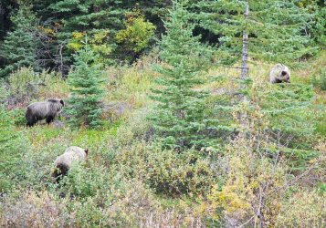 P1330765-copy-2.jpg P1330765-copy-2.jpg