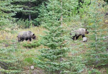 P1330767-copy-2.jpg P1330767-copy-2.jpg