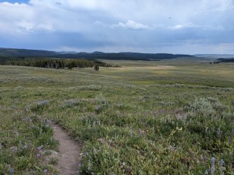 PXL_20250718_223343826.jpg