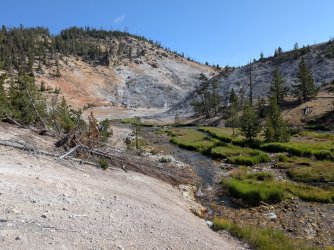 PXL_20250719_153435404.jpg