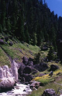 Fairyland Basin008.jpg