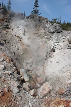 12b.jpg