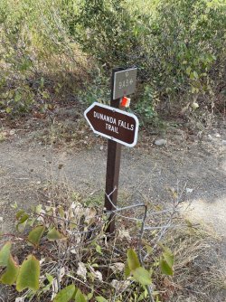 thumbnail_IMG_0615.jpg
