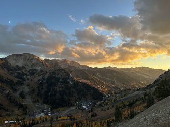 IMG_4232.jpg