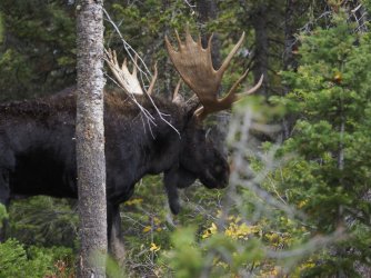 September 30 - 3 of 67_Original.jpeg September 30 - 3 of 67_Original.jpeg