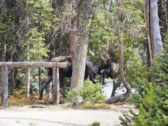 September 30 - 5 of 67_Original.jpeg September 30 - 5 of 67_Original.jpeg