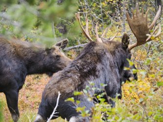 September 30 - 7 of 67_Original.jpeg September 30 - 7 of 67_Original.jpeg