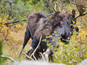 September 30 - 8 of 67_Original.jpeg September 30 - 8 of 67_Original.jpeg