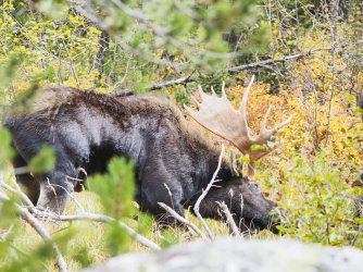 September 30 - 10 of 67_Original.jpeg September 30 - 10 of 67_Original.jpeg