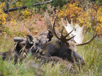 September 30 - 21 of 67_Original.jpeg September 30 - 21 of 67_Original.jpeg