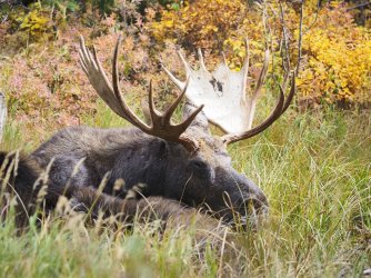 September 30 - 25 of 67_Original.jpeg September 30 - 25 of 67_Original.jpeg