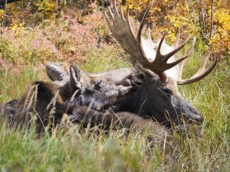 September 30 - 27 of 67_Original.jpeg September 30 - 27 of 67_Original.jpeg