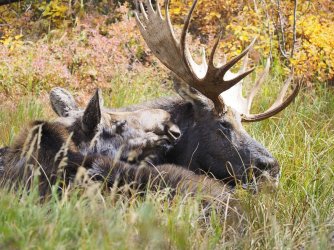 September 30 - 28 of 67_Original.jpeg September 30 - 28 of 67_Original.jpeg