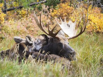 September 30 - 31 of 67_Original.jpeg September 30 - 31 of 67_Original.jpeg