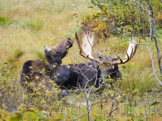 September 30 - 38 of 67_Original.jpeg September 30 - 38 of 67_Original.jpeg