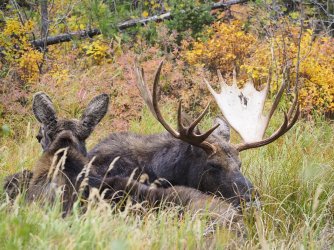 September 30 - 39 of 67_Original.jpeg September 30 - 39 of 67_Original.jpeg