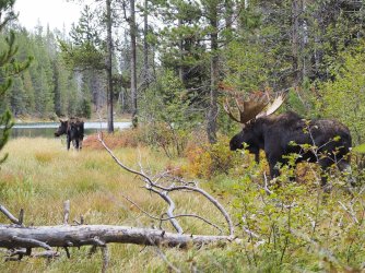 September 30 - 43 of 67_Original.jpeg September 30 - 43 of 67_Original.jpeg