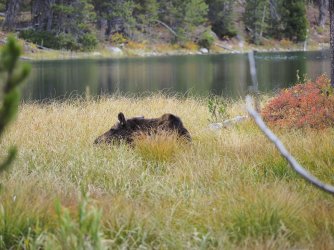 September 30 - 53 of 67_Original.jpeg September 30 - 53 of 67_Original.jpeg