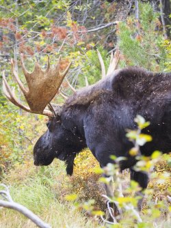 September 30 - 56 of 67_Original.jpeg September 30 - 56 of 67_Original.jpeg