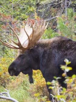 September 30 - 59 of 67_Original.jpeg September 30 - 59 of 67_Original.jpeg