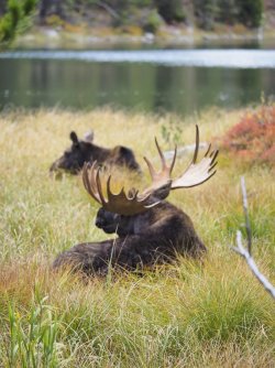 September 30 - 65 of 67_Original.jpeg September 30 - 65 of 67_Original.jpeg