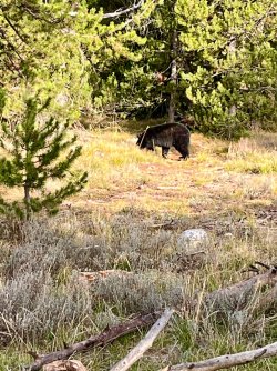 IMG_6346_Original.jpeg IMG_6346_Original.jpeg