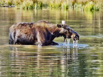 September 29 - 32 of 88_Original.jpeg September 29 - 32 of 88_Original.jpeg