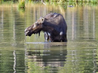 September 29 - 52 of 88_Original.jpeg September 29 - 52 of 88_Original.jpeg